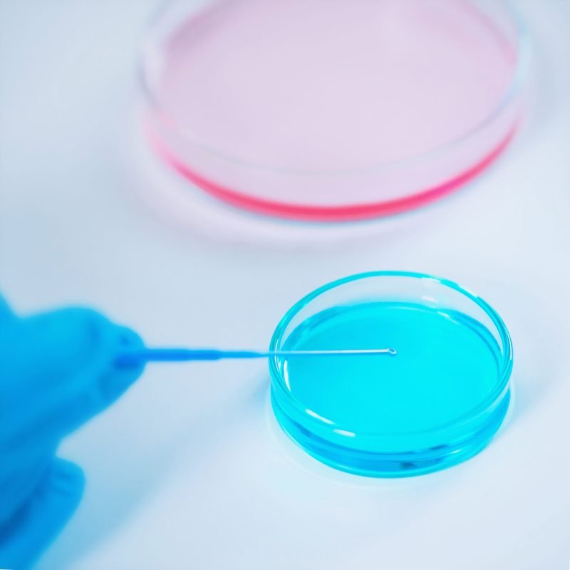 Laboratory research, inoculation loop in petri dish
